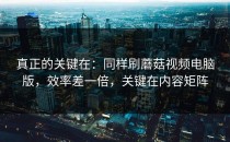 真正的关键在：同样刷蘑菇视频电脑版，效率差一倍，关键在内容矩阵