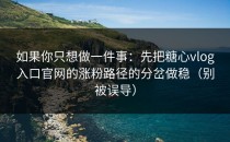 如果你只想做一件事：先把糖心vlog入口官网的涨粉路径的分岔做稳（别被误导）
