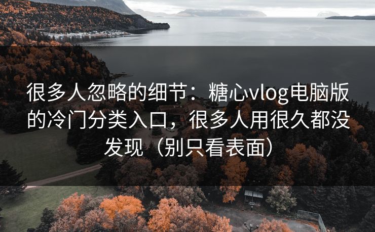 很多人忽略的细节：糖心vlog电脑版的冷门分类入口，很多人用很久都没发现（别只看表面）